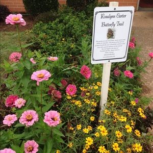 Meet your Posher, Annette